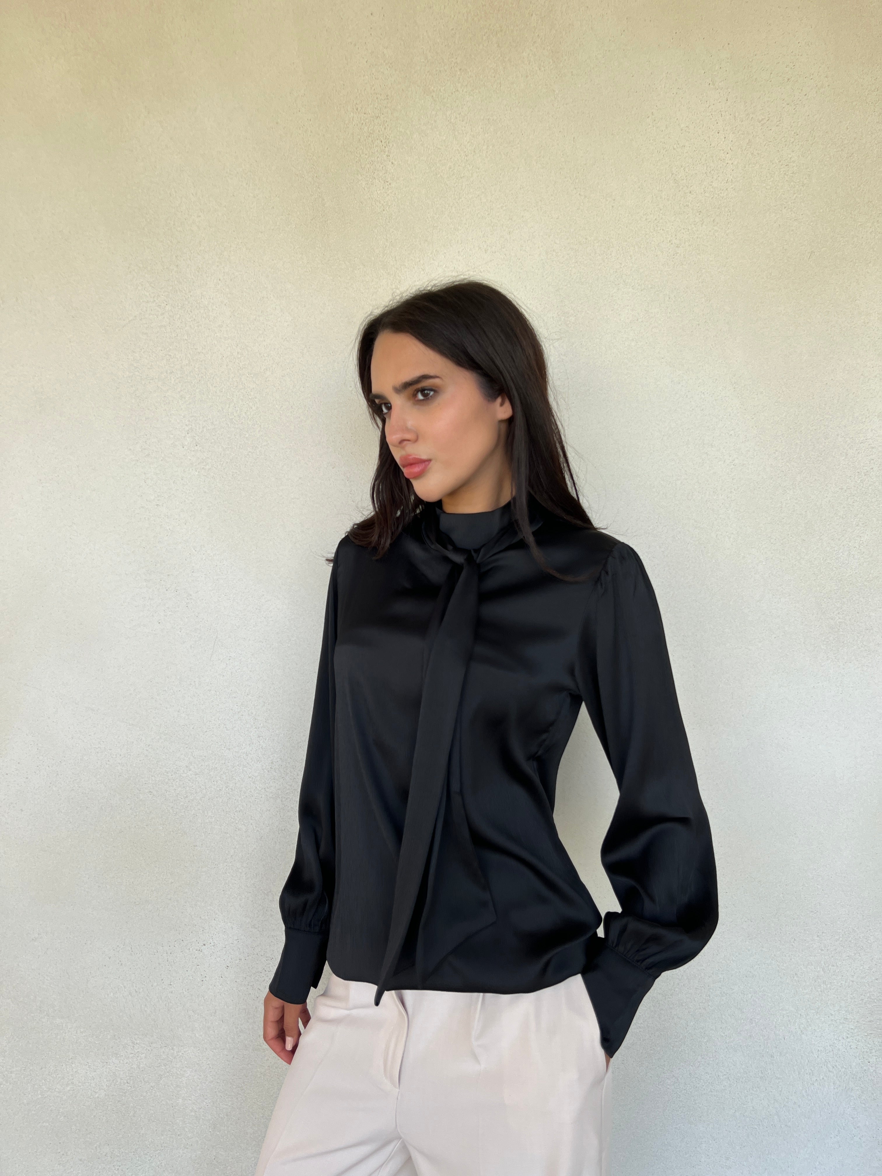 Satin Tie Neck Blouse