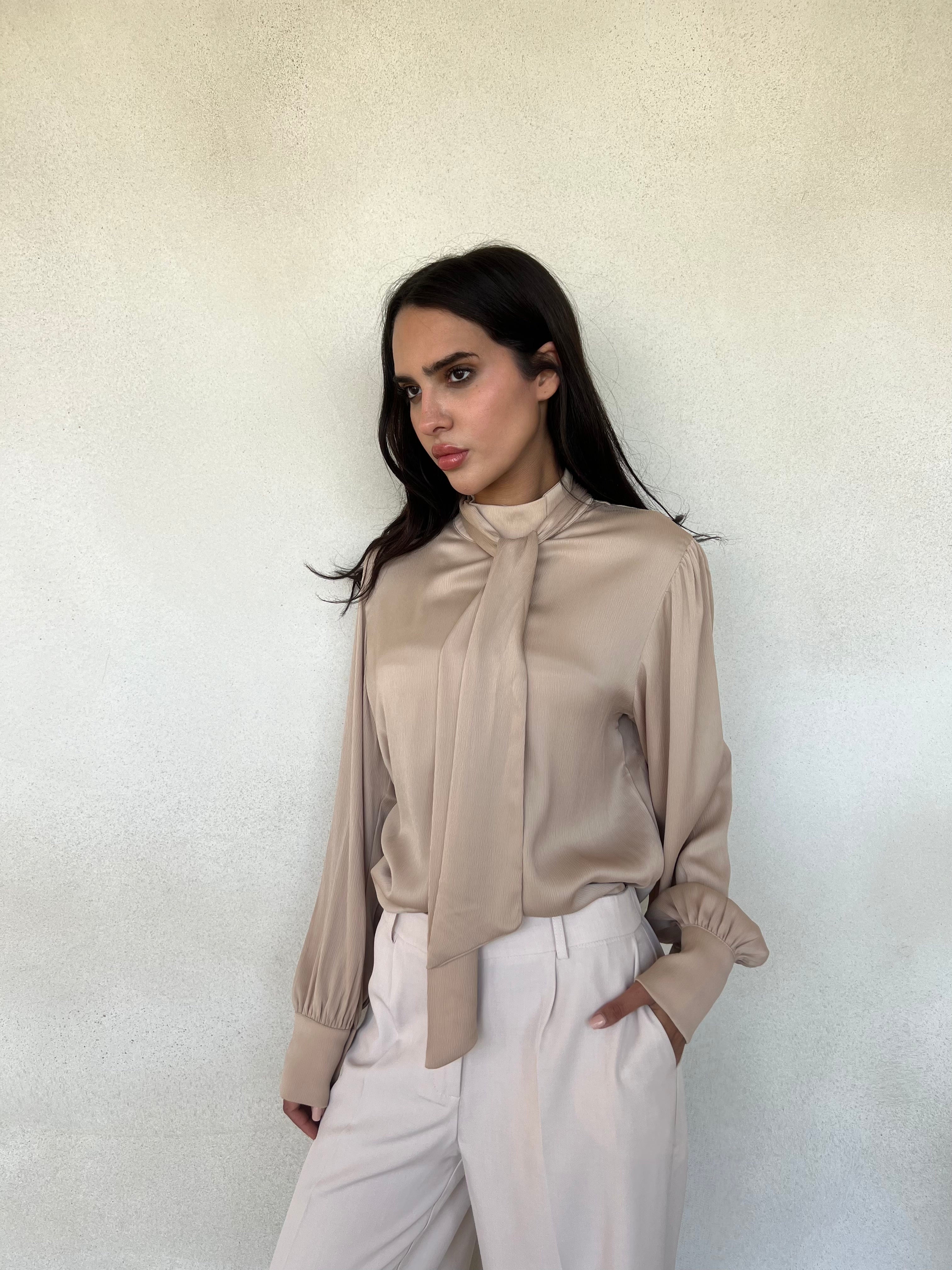 Satin Tie Neck Blouse